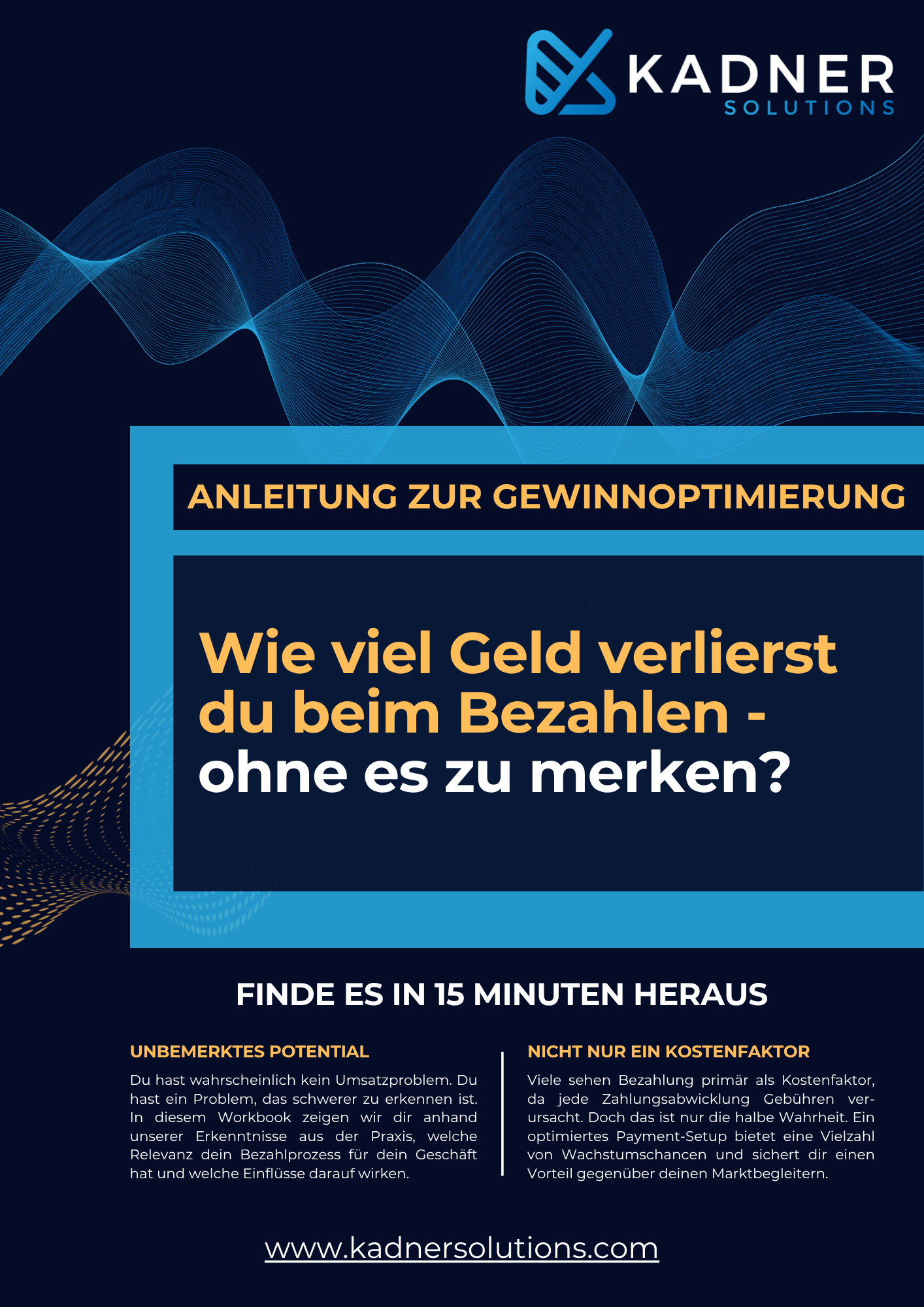 Whitepaper Paymentkosten Kadner Solutions