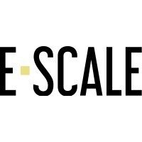 BITTE NUR FÜ R CASE STUDY e scale group gmbh logo